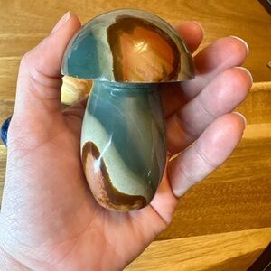 Polychrome Jasper Mushroom